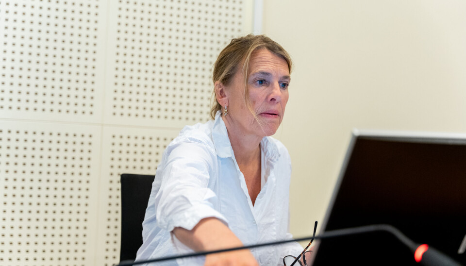 Stadsadvokat Irlin Irgens. Stadsadvokat Irlin Irgens.