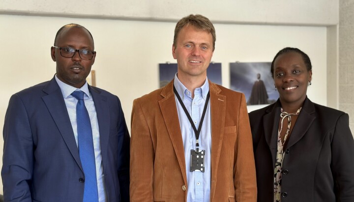 Prosjektleder Terje Skjerdal (i midten) fikk denne uken besøk av Dr. Diane Gashumba, Rwandas ambassadør til de nordiske landene (t.h.), og Dr. Didas Kayihura, rektor ved University of Rwanda.