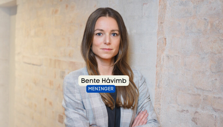Bente Håvimb er innsikts- og analyseansvarlig hos Mediebedriftenes Landsforening.