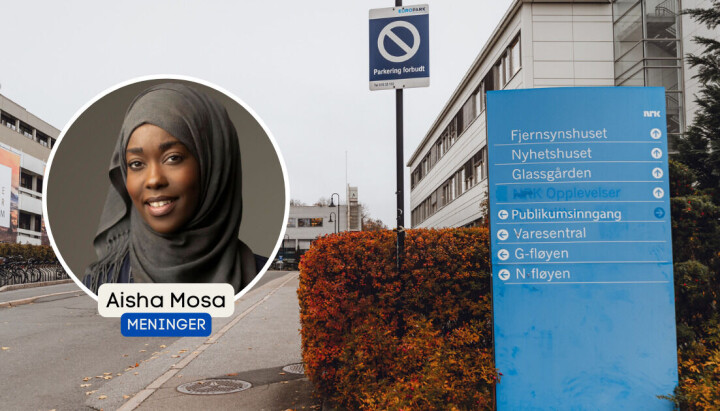 – Unngå stereotypier og presenter en variert portefølje av emner, fra kulturell arv til samfunnsaktuelle hendelser, skriver Aisha Mosa. – Unngå stereotypier og presenter en variert portefølje av emner, fra kulturell arv til samfunnsaktuelle hendelser, skriver Aisha Mosa.