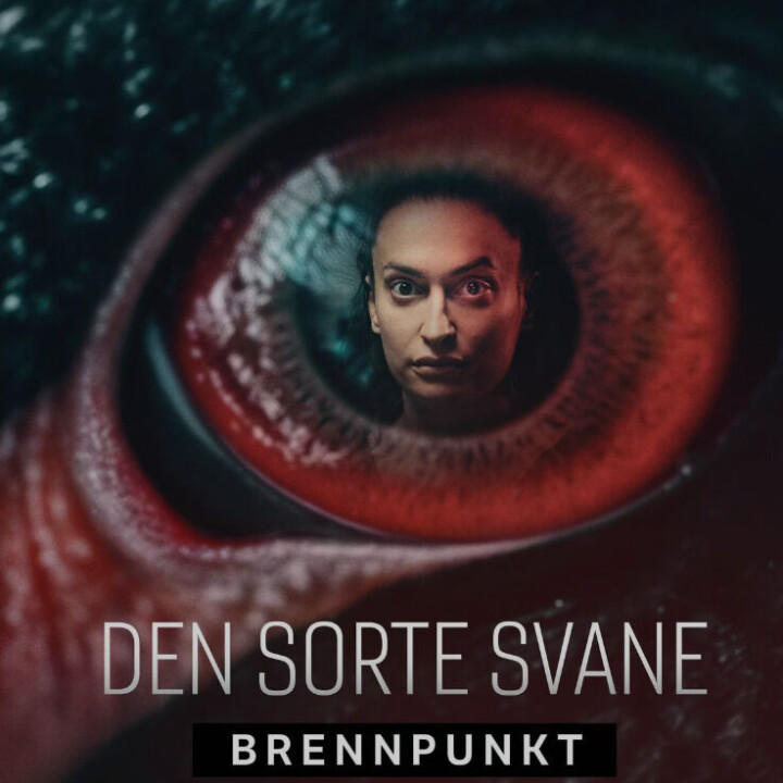 Mediekritiker Bernt Olufsen skriver om Den sorte svane, som er publisert av NRK - og skaper debatt i Danmark. Mediekritiker Bernt Olufsen skriver om Den sorte svane, som er publisert av NRK - og skaper debatt i Danmark.