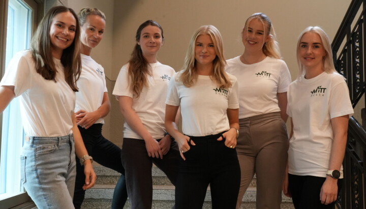 Avbildet er Ingvild Jenhaug Korneliussen (prosjektleder, Nettavisen),
Aleksandra Cybulska (kommersiell leder, Nettavisen), Sigrid Moe (designer, Nettavisen),
Malin Moe Neeraas (konseptleder, Abel), Synne Siem (sosiale medier manager, Abel) og
Tina Maria Karlseng Nygård (markedsfører, Nettavisen)